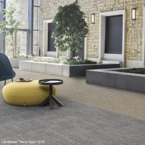 Desso AirMaster Tierra Gold