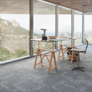 DESSO Carpet Tiles | Arable | MOQ 1 box
