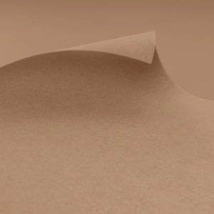 Exhibition & Event Carpet | EXPOflor REWIND Flat - F219 Sahara | MOQ 2m2
