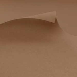 Exhibition & Event Carpet | EXPOflor REWIND Flat - F200 Beige | MOQ 2m2