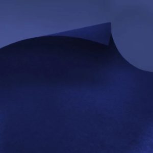 Exhibition & Event Carpet | EXPOflor REWIND Flat - F812 Royal Blue | MOQ 2m2