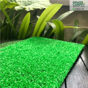 EXPOflor Grass Carpet, Artificial Turf, Indoor, Outdoor Rug - Spring 709 | 1m2