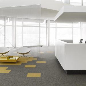 DESSO Carpet Tiles | Salt | MOQ 1 box