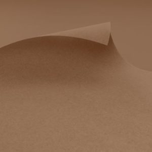 Exhibition & Event Carpet | EXPOflor REWIND Flat – F200 Beige | MOQ 2m2 | $6-$7 per m2