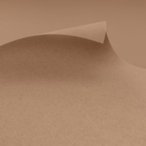 Exhibition & Event Carpet | EXPOflor REWIND Flat – F219 Sahara | MOQ 2m2 | $6-$7 per m2