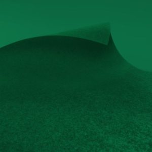 Exhibition & Event Carpet | EXPOflor REWIND Flat – F624 Forest Green | MOQ 2m2 | $6-$7 per m2