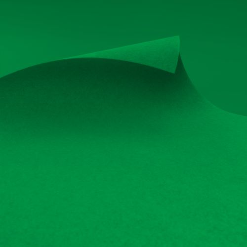 Rewind Flat 0625_spring green_rgb (500x500px) Rewind Flat 0625_spring green_rgb (500x500px)