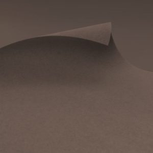 Exhibition & Event Carpet | EXPOflor REWIND Flat – F936 Taupe | MOQ 2m2 | $6-$7 per m2